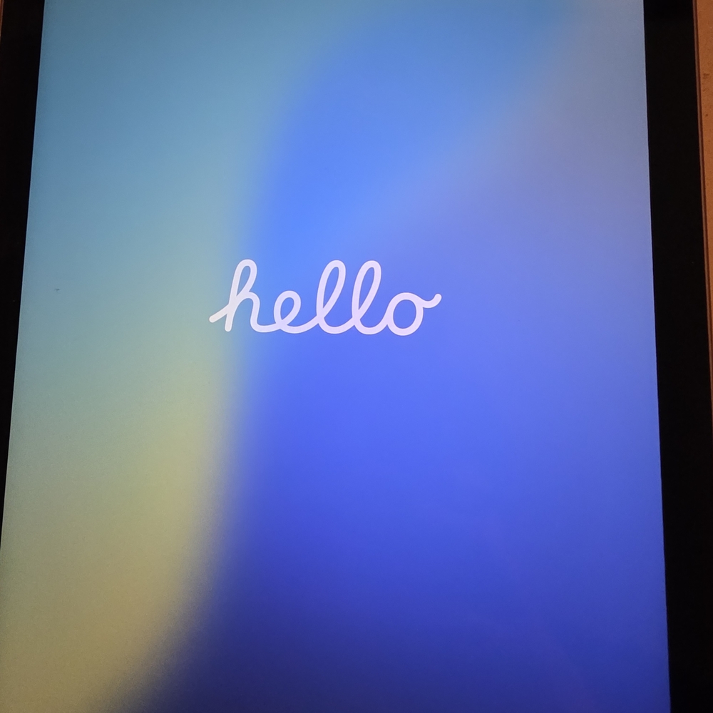 Apple iPad - Purple